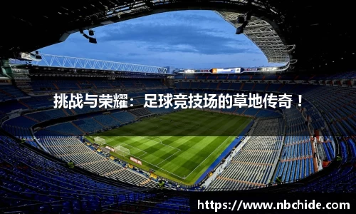 挑战与荣耀：足球竞技场的草地传奇 !